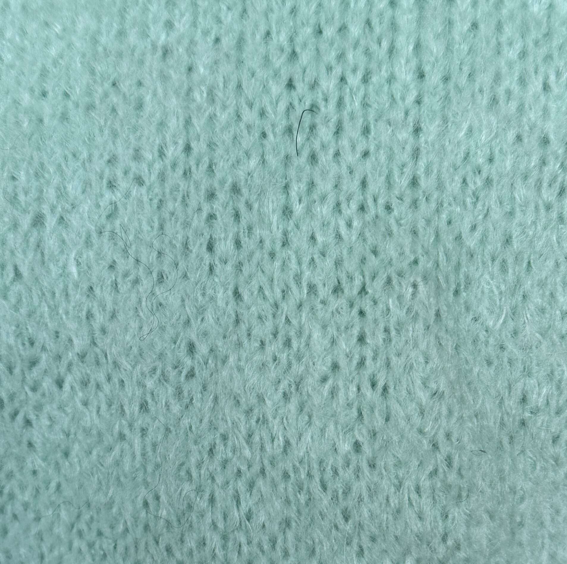 Birds egg green